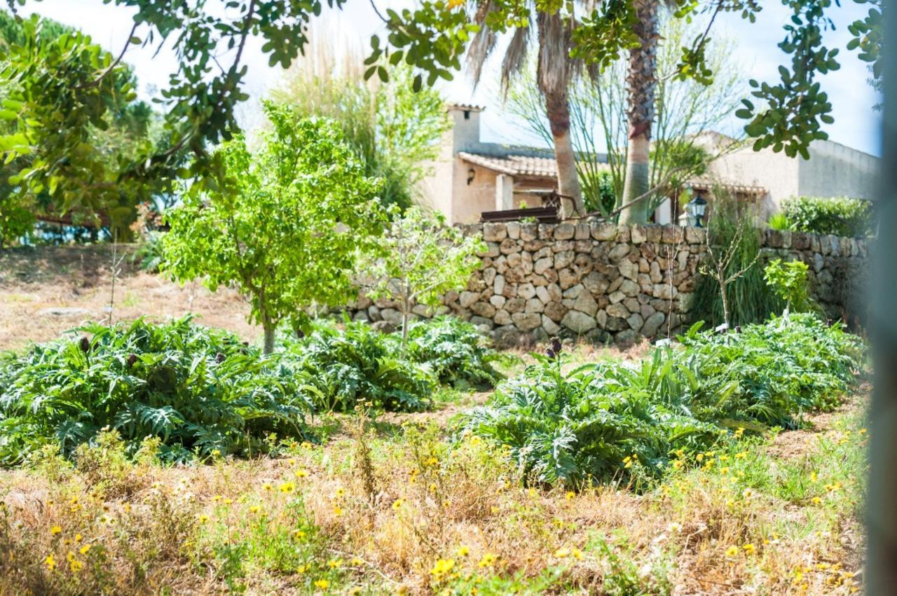 Villa Santa Margalida Exterior photo
